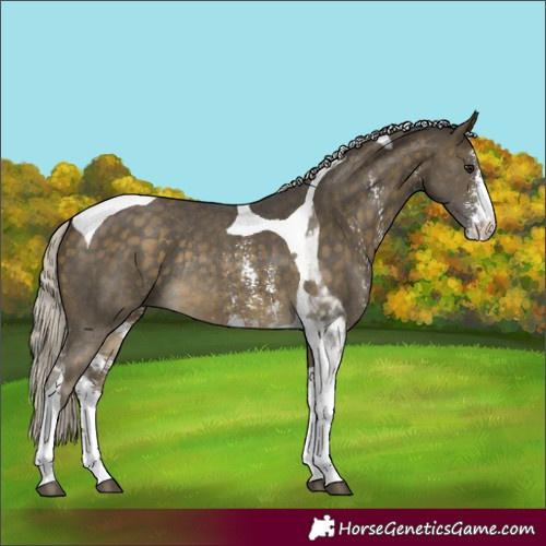 Horse Color:Silver Buckskin Sabino Tobiano Rabicano