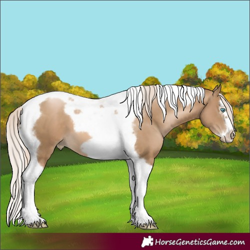 Horse Color:Chocolate Palomino Pearl Splash Tobiano Frame 