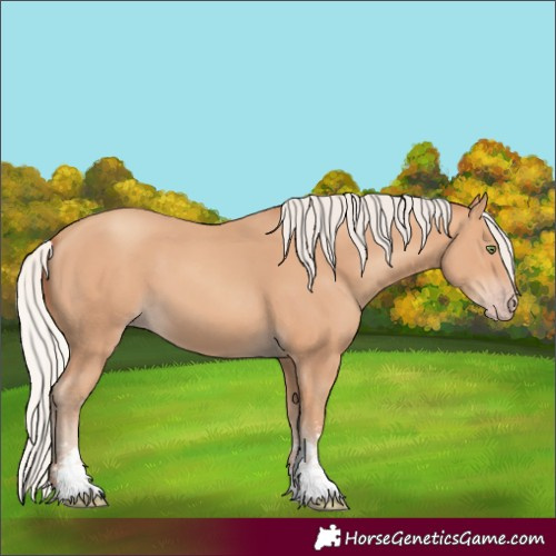 Horse Color:Silver Amber Champagne Sabino 
