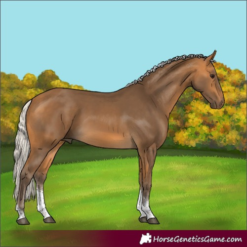 Horse Color:Silver Buckskin Sabino Tobiano Rabicano 
