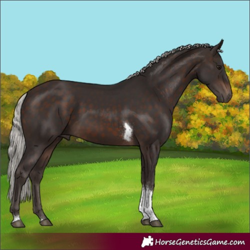 Horse Color:Silver Brown Tobiano 