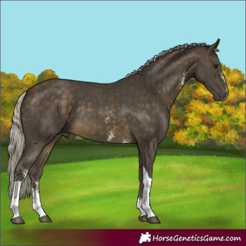 Horse Color:Silver Buckskin Sabino Tobiano Rabicano