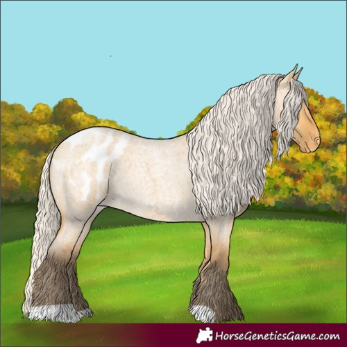 Horse Color:Silver Buckskin Roan Dun Blanket 