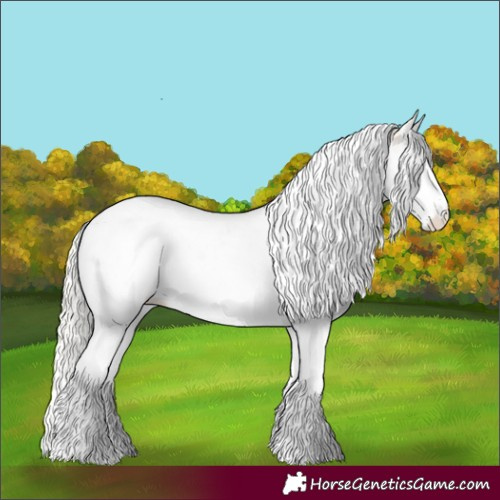 Horse Color:Cremello Dun Sabino Splash Tobiano Appaloosa 