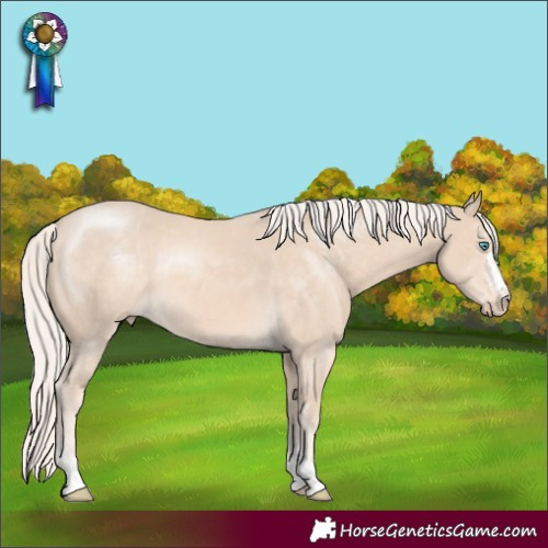 Horse Color:Cremello
