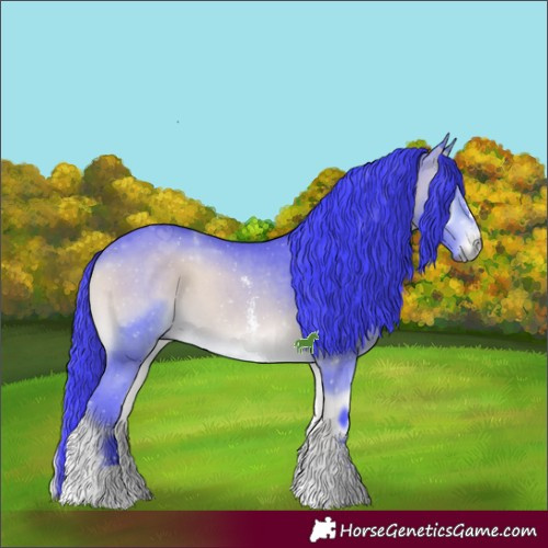 Horse Color:Watercolor Bay Onyx Sabino