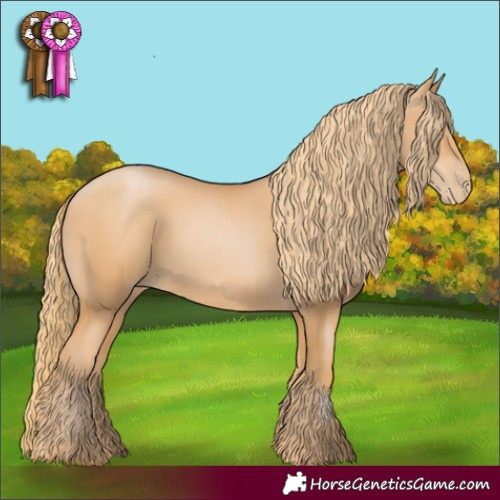 Horse Color:Chestnut Pearl