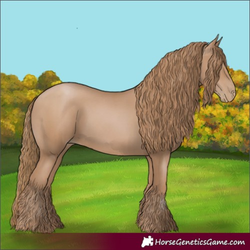 Horse Color:Black Pearl 