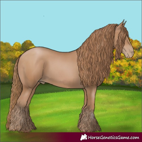 Horse Color:Black Pearl 