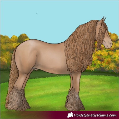 Horse Color:Black Pearl 
