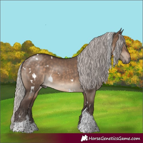 Horse Color:White Spotted Silver Brown Dun Tobiano 