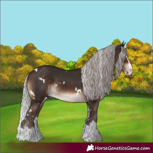 Horse Color:White Spotted Silver Brown Splash