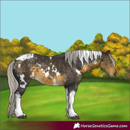 Horse Color:White Spotted Silver Buckskin Tobiano 
