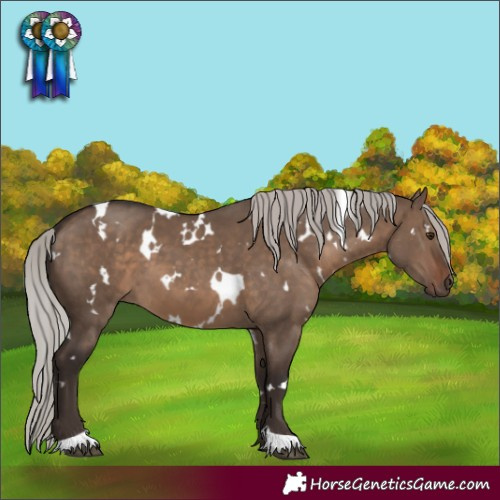 Horse Color:White Spotted Silver Brown Dun