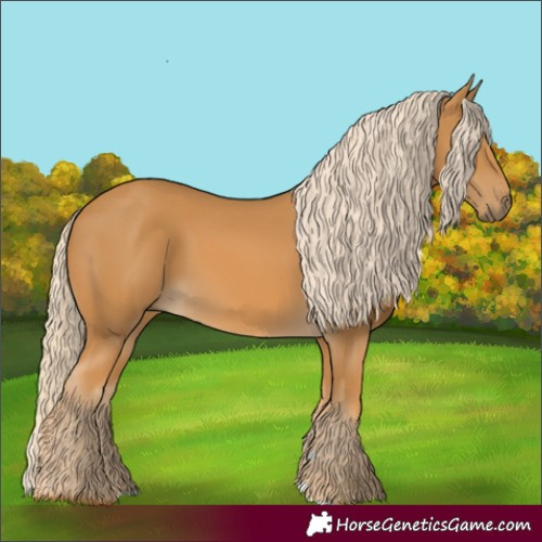Horse Color:Palomino 