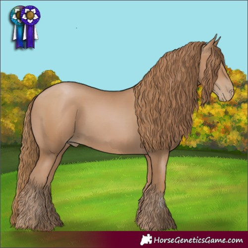 Horse Color:Black Pearl 