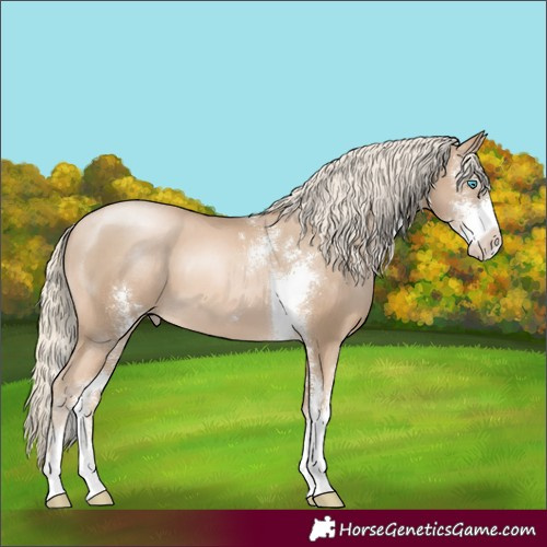 Horse Color:Chocolate Palomino Pearl Sabino 