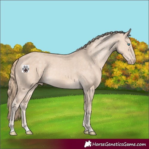 Horse Color:Perlino 
