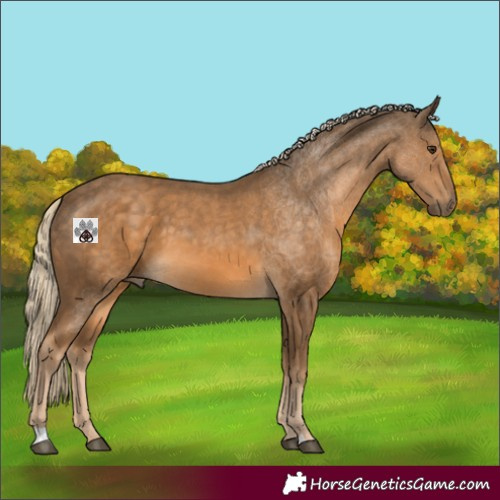 Horse Color:Chocolate Palomino 