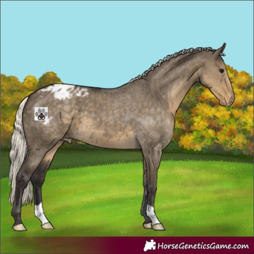Horse Color:Silver Smoky Grullo Varnish
