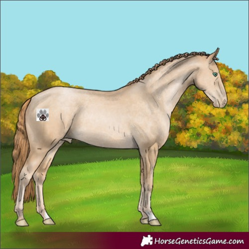 Horse Color:Smoky Black Pearl