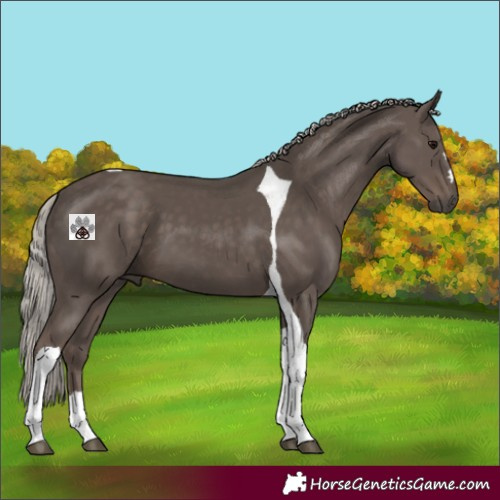 Horse Color:Silver Black Tobiano