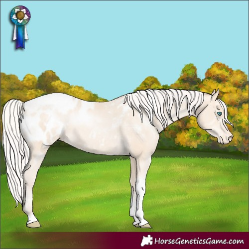 Horse Color:Silver Classic Cream Champagne Pearl Tobiano Appaloosa 