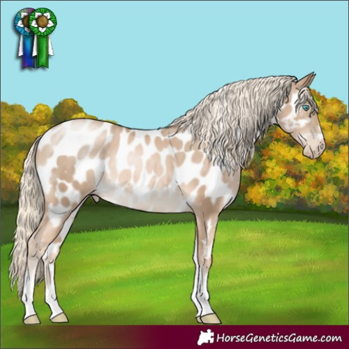 Horse Color:Chocolate Palomino Pearl Tobiano Appaloosa Rabicano