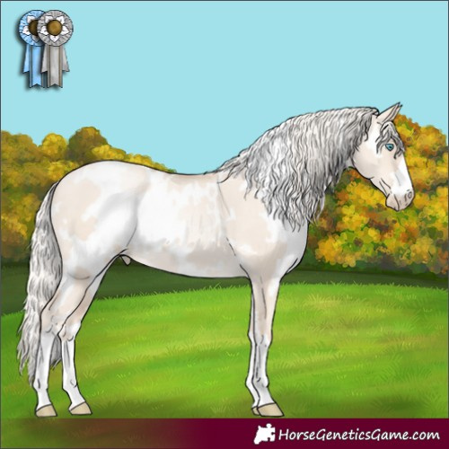 Horse Color:White Spotted Gold Cream Champagne Pearl Dun 