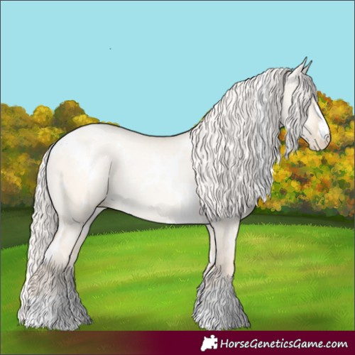 Horse Color:White Spotted Gold Cream Champagne Pearl Dun 