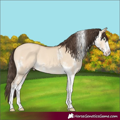 Horse Color:Amber Champagne Dun Sabino