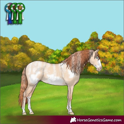Horse Color:Powder White Gray Perlino Dun Frame
