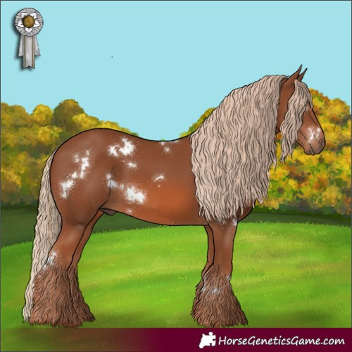 Horse Color:White Spotted Chestnut Rabicano 