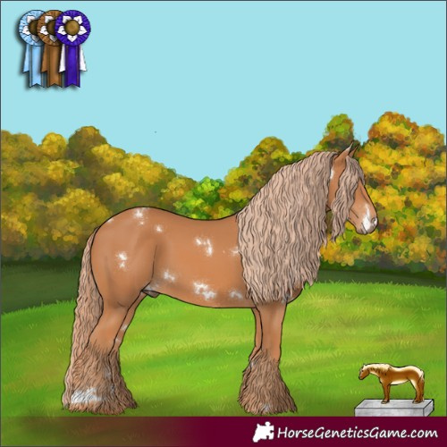 Horse Color:White Spotted Chestnut Rabicano