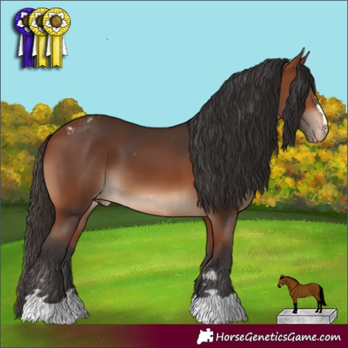 Horse Color:Bay Varnish 