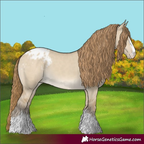 Horse Color:Classic Cream Champagne Dun Appaloosa