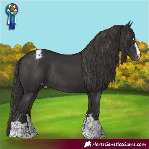 Horse Color:Smoky Black Appaloosa Rabicano