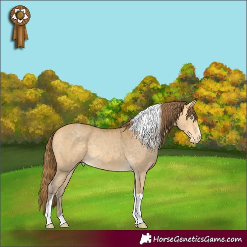 Horse Color:Amber Cream Champagne Tobiano Appaloosa Rabicano