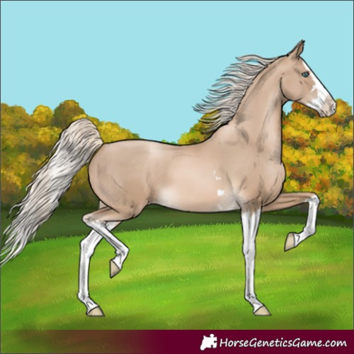 Horse Color:Chocolate Palomino Pearl Splash