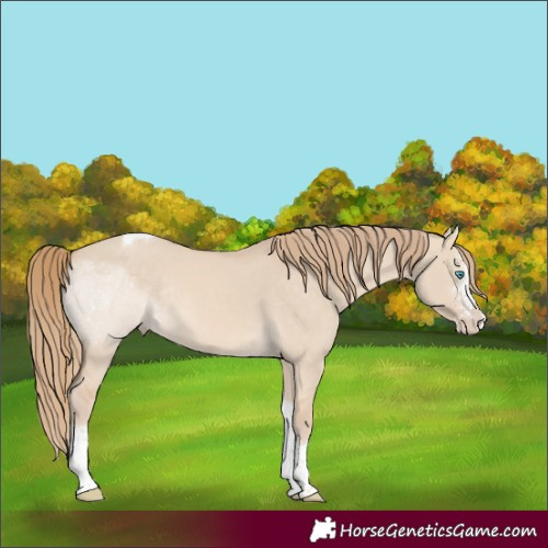 Horse Color:Perlino Dun Sabino Tobiano Rabicano 