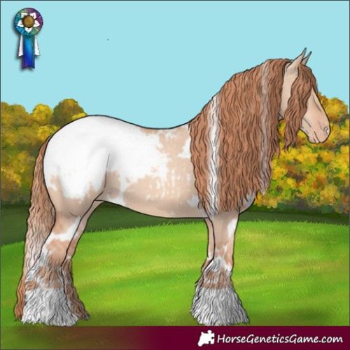 Horse Color:White Spotted Gold Champagne Dun Appaloosa