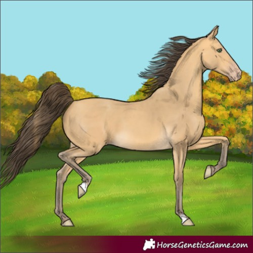 Horse Color:Amber Cream Champagne 