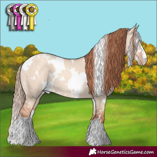 Horse Color:White Spotted Gold Champagne Dun