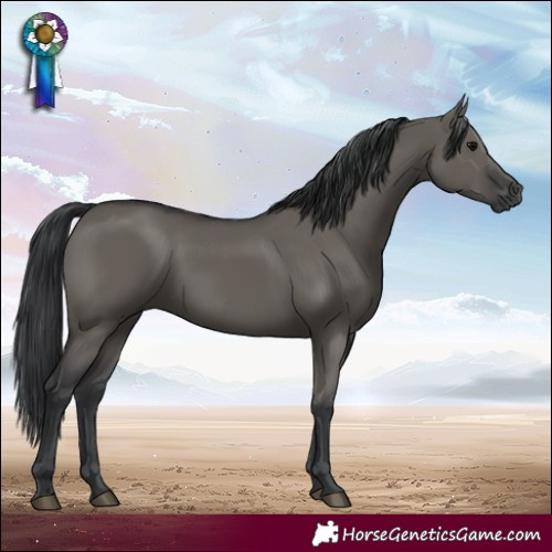Horse Color:Grullo 