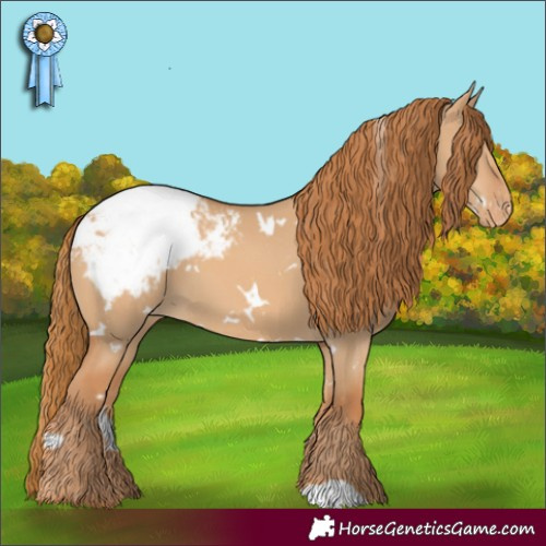 Horse Color:White Spotted Red Dun Appaloosa