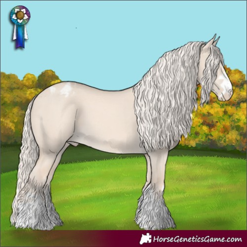 Horse Color:Cremello Dun Appaloosa 