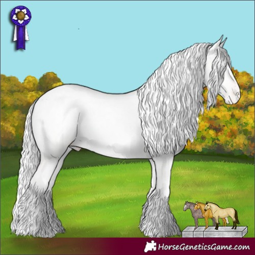 Horse Color:White Spotted Cremello Dun Appaloosa