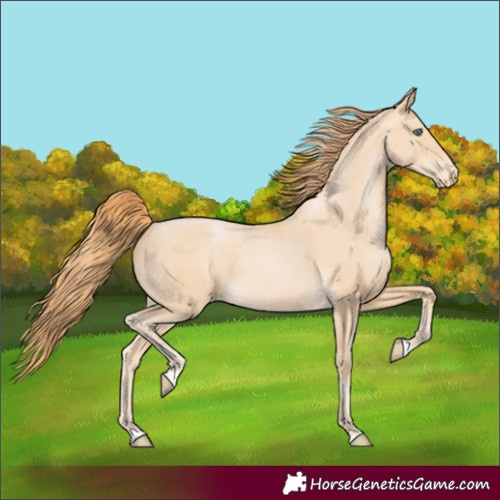 Horse Color:Buckskin Pearl Varnish