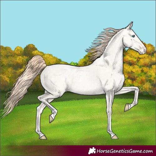 Horse Color:Amber Cream Champagne Pearl Dun Varnish 