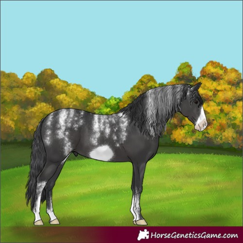 Horse Color:Powder White Black Frame 